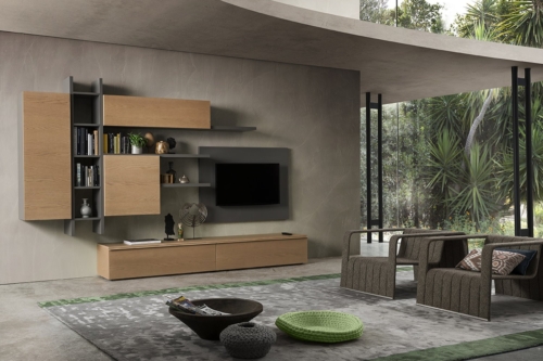 interior furniture - living design - livingroom - wall units